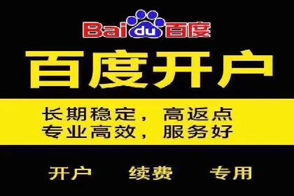竞价推广成功案例解析